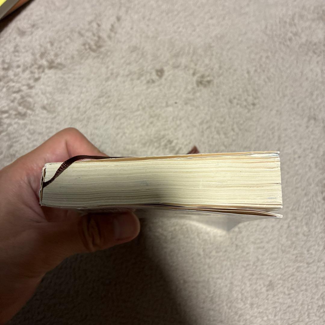 風が強く吹いている — image 3