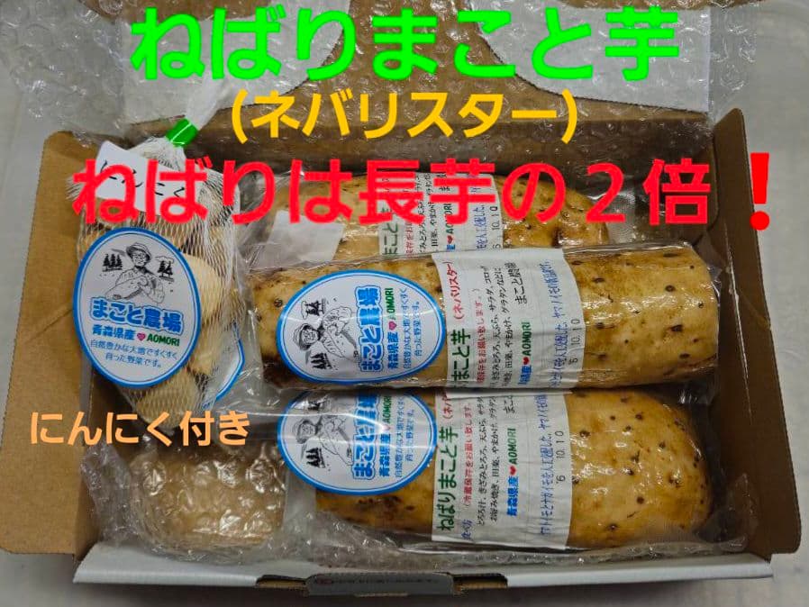 青森県七戸町産ねばりまこと芋1.0kg(ネバリスター) — image 2