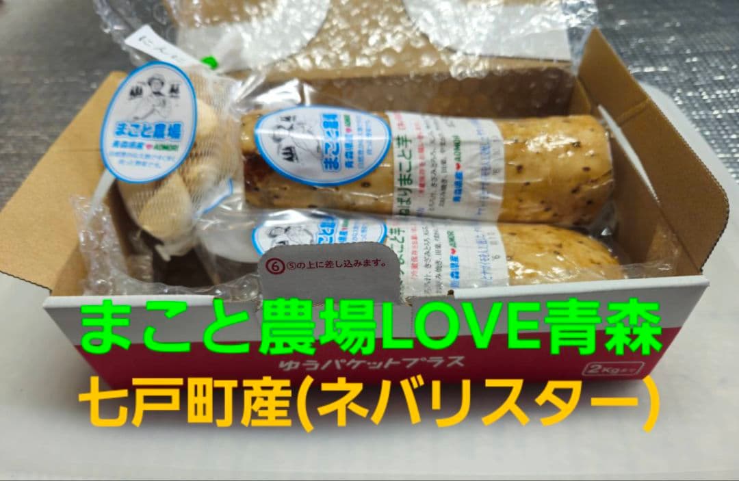 青森県七戸町産ねばりまこと芋1.0kg(ネバリスター) — image 4