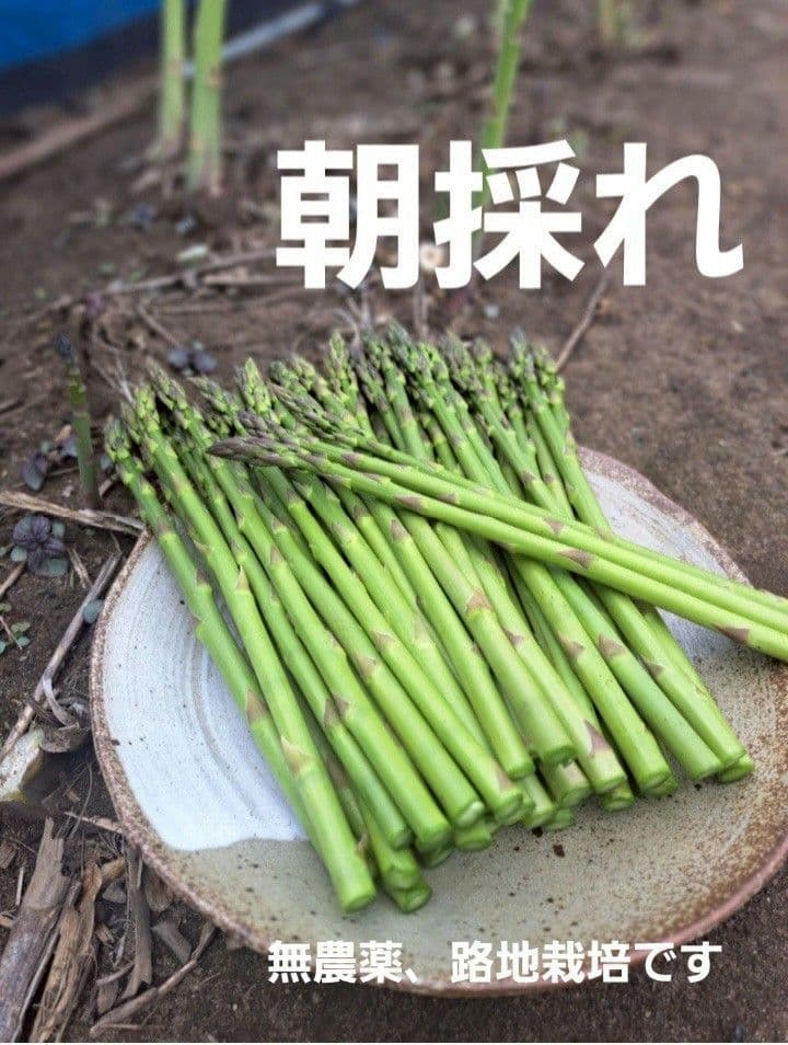 【極細】北海道産アスパラガス — image 2