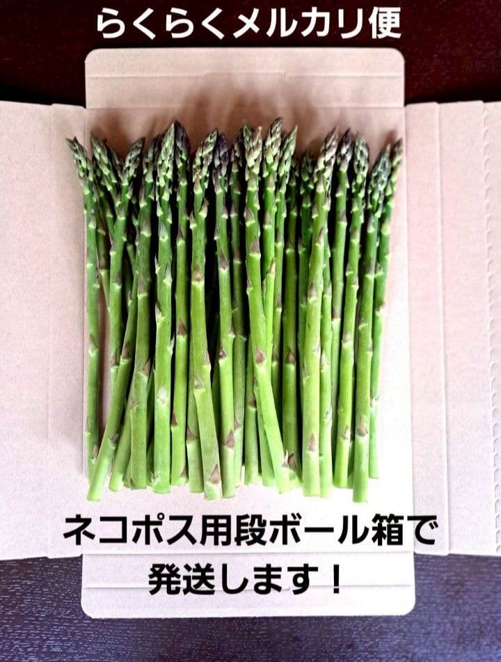 【極細】北海道産アスパラガス — image 3