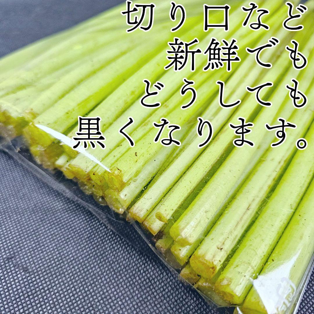 【即日発送】新鮮 産地直送 蕗 ふき 大容量!! — image 2