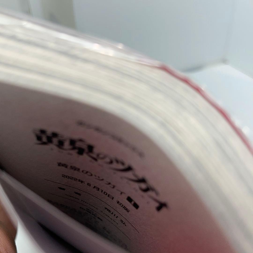 【新品未開封】黄泉のツガイ 1巻 初版 特典付き シュリンク付き — image 4