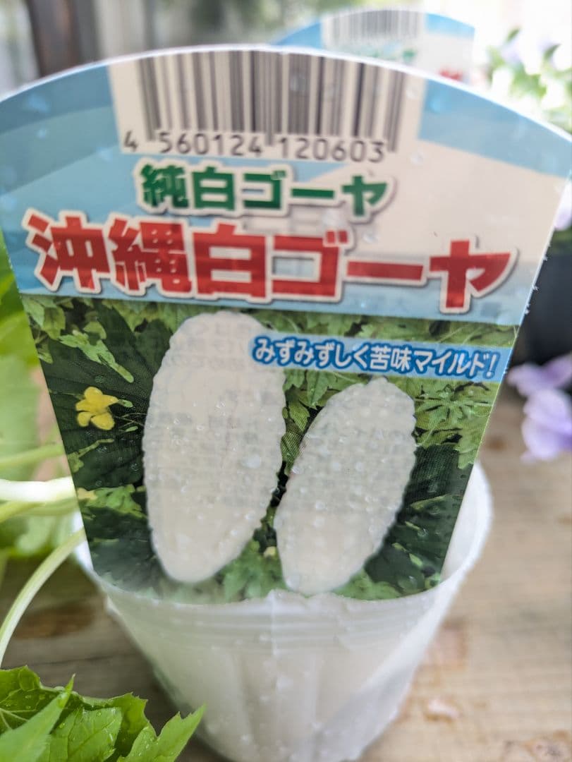 つくし様 — image 2