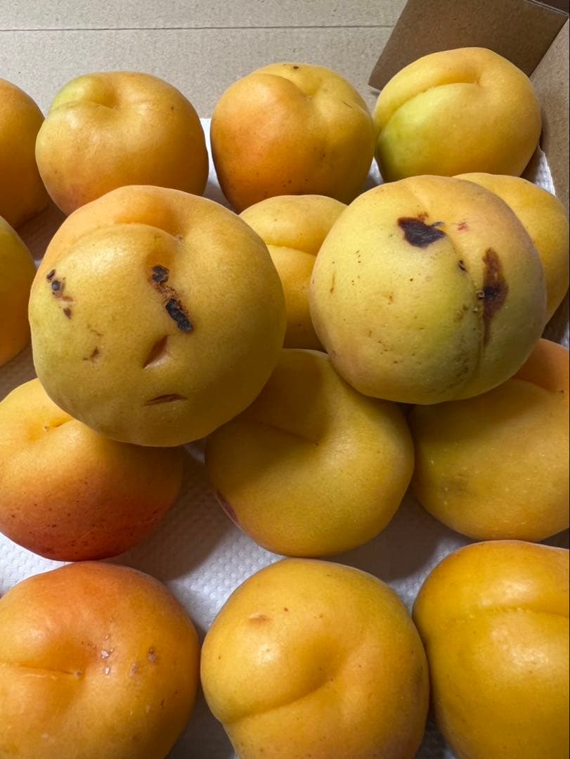 長野県産 新潟大実 訳あり 1kg — image 2