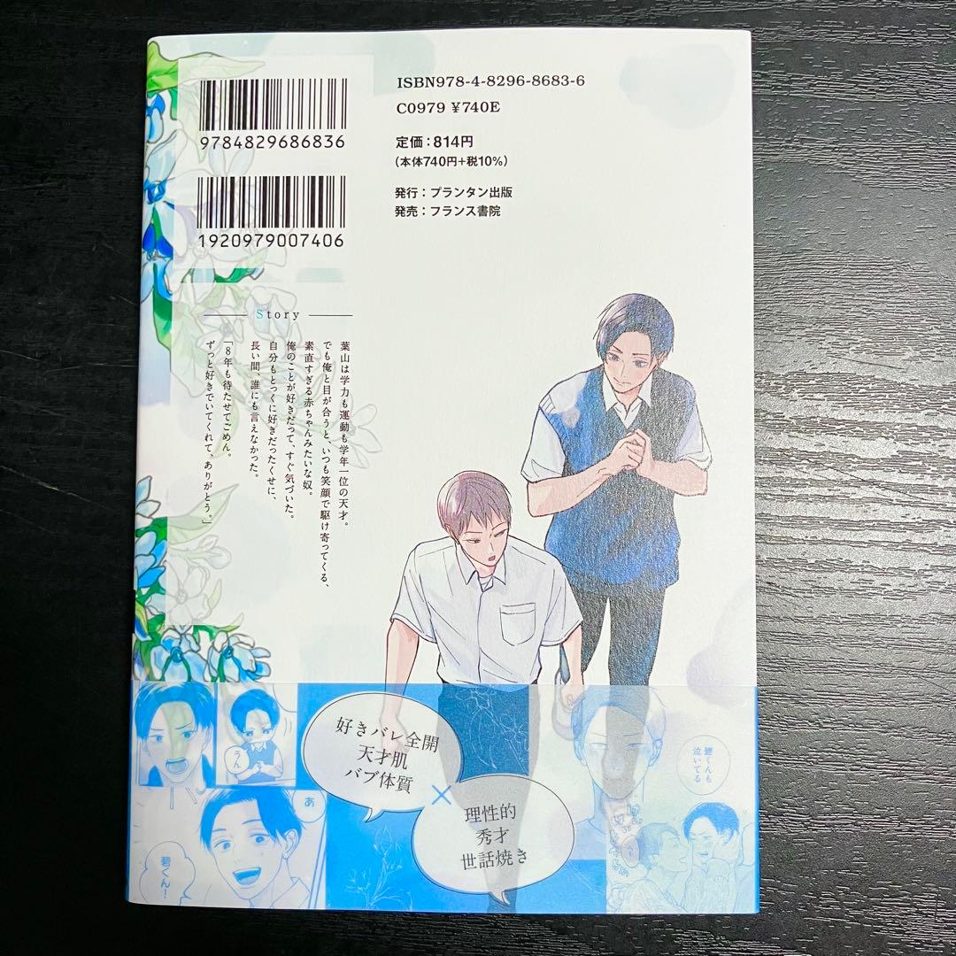 【匿名配送】青と碧　ろじ — image 2