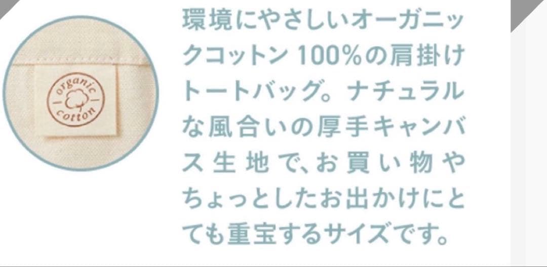【Dr.ウィラード】特製オーガニックキャンバストートバッグ — image 2