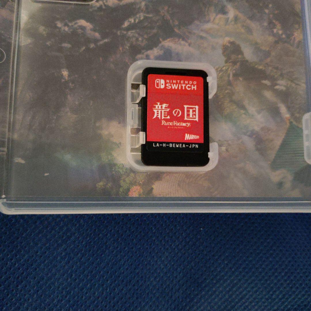 Switch 龍の国 ルーンファクトリー — image 4