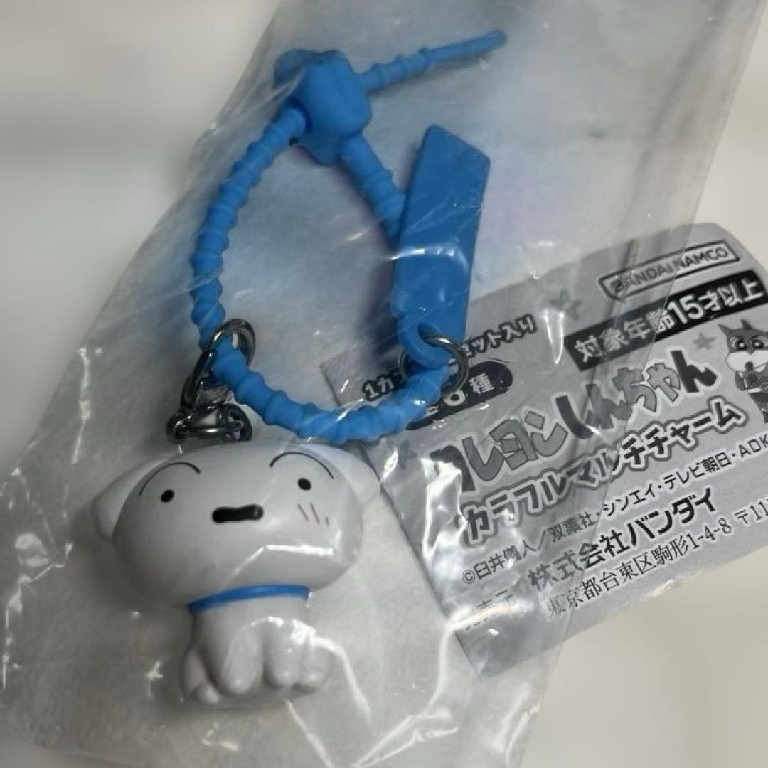 クレヨンしんちゃん カラフルマルチチャーム シロ — image 2