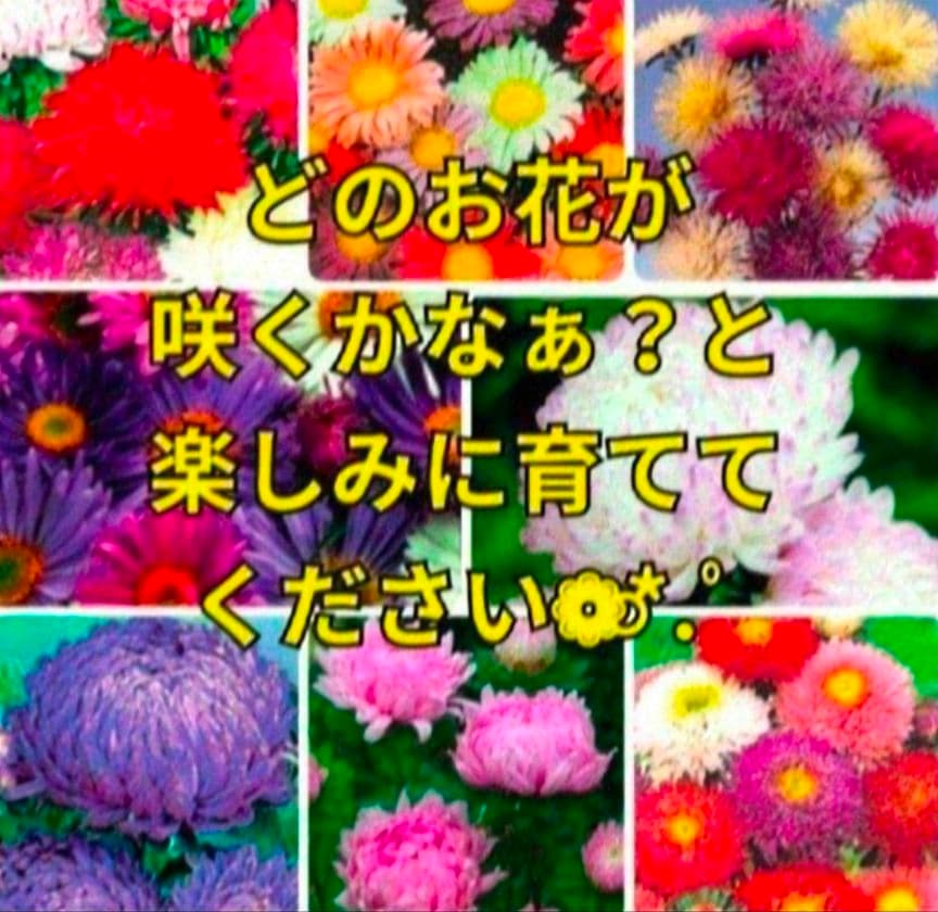 たぬま様専用ページです❁⃘*.゜ — image 5