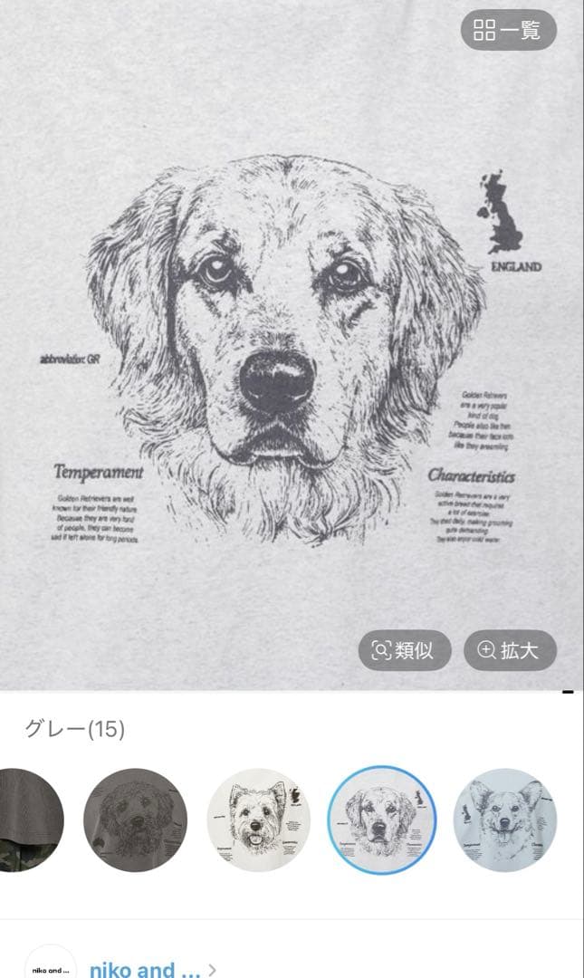 今季完売商品✨ニコアンド ドローイングBIGDOGTシャツ グレー L — image 2