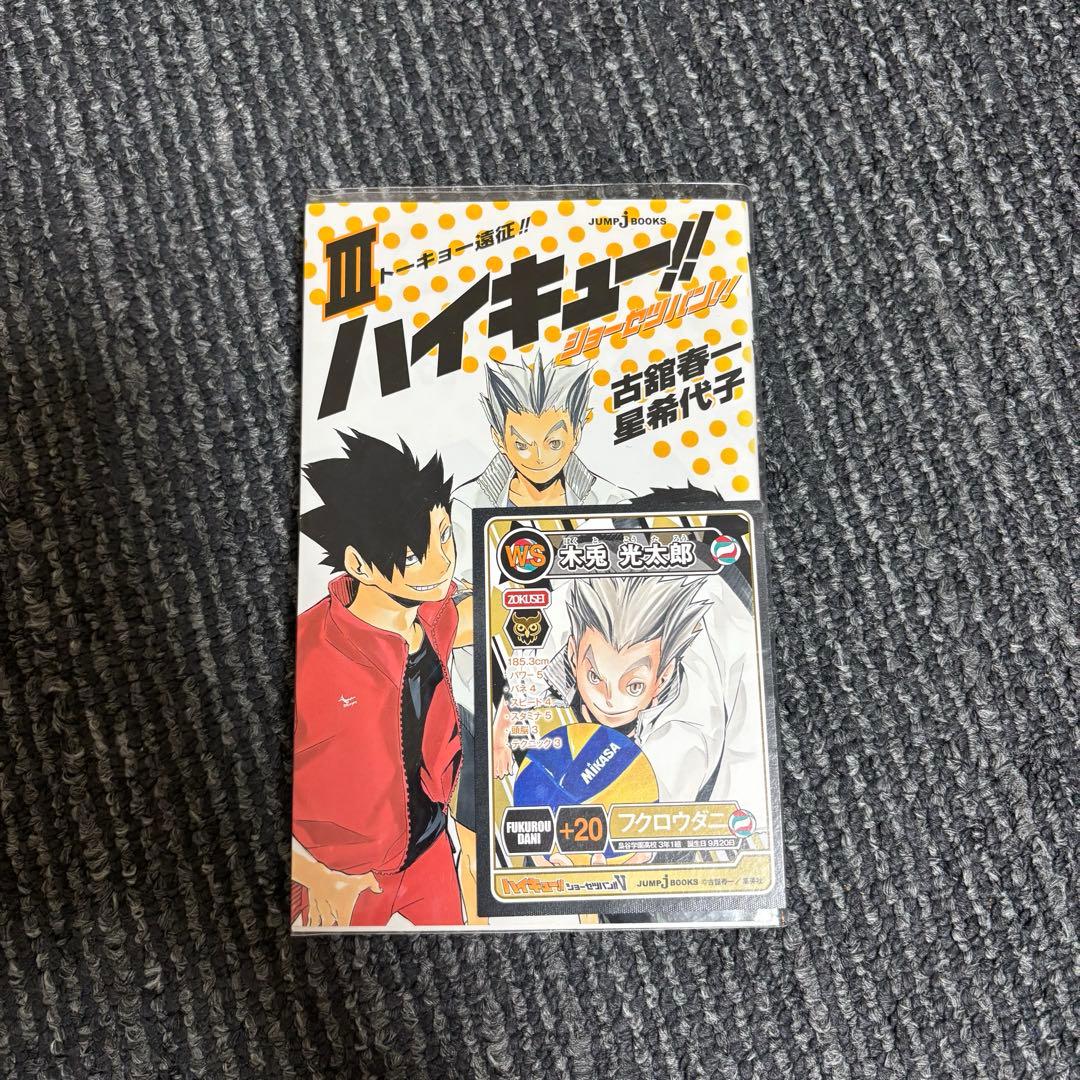 ハイキュー!! ショーセツバン①-⑫ +セイシュンメイカン+劇場版前編-後編 — image 3