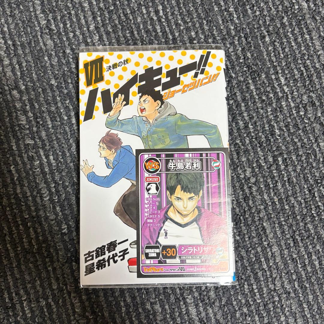 ハイキュー!! ショーセツバン①-⑫ +セイシュンメイカン+劇場版前編-後編 — image 4