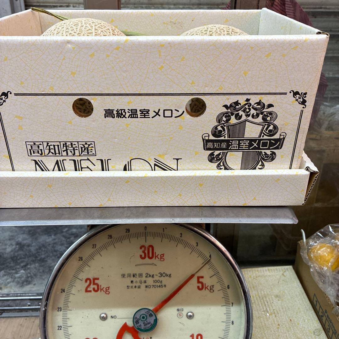 高知県産 温室メロン 2玉入り — image 2