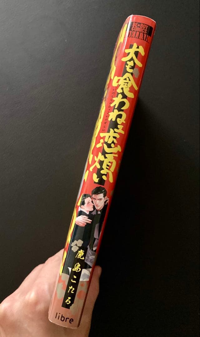 犬も喰わねェ恋煩い 鹿島こたる — image 3