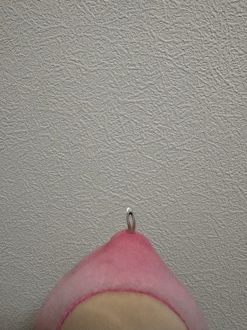 こびとづかん カクレモモジリ ぬいぐるみ マスコット — image 3