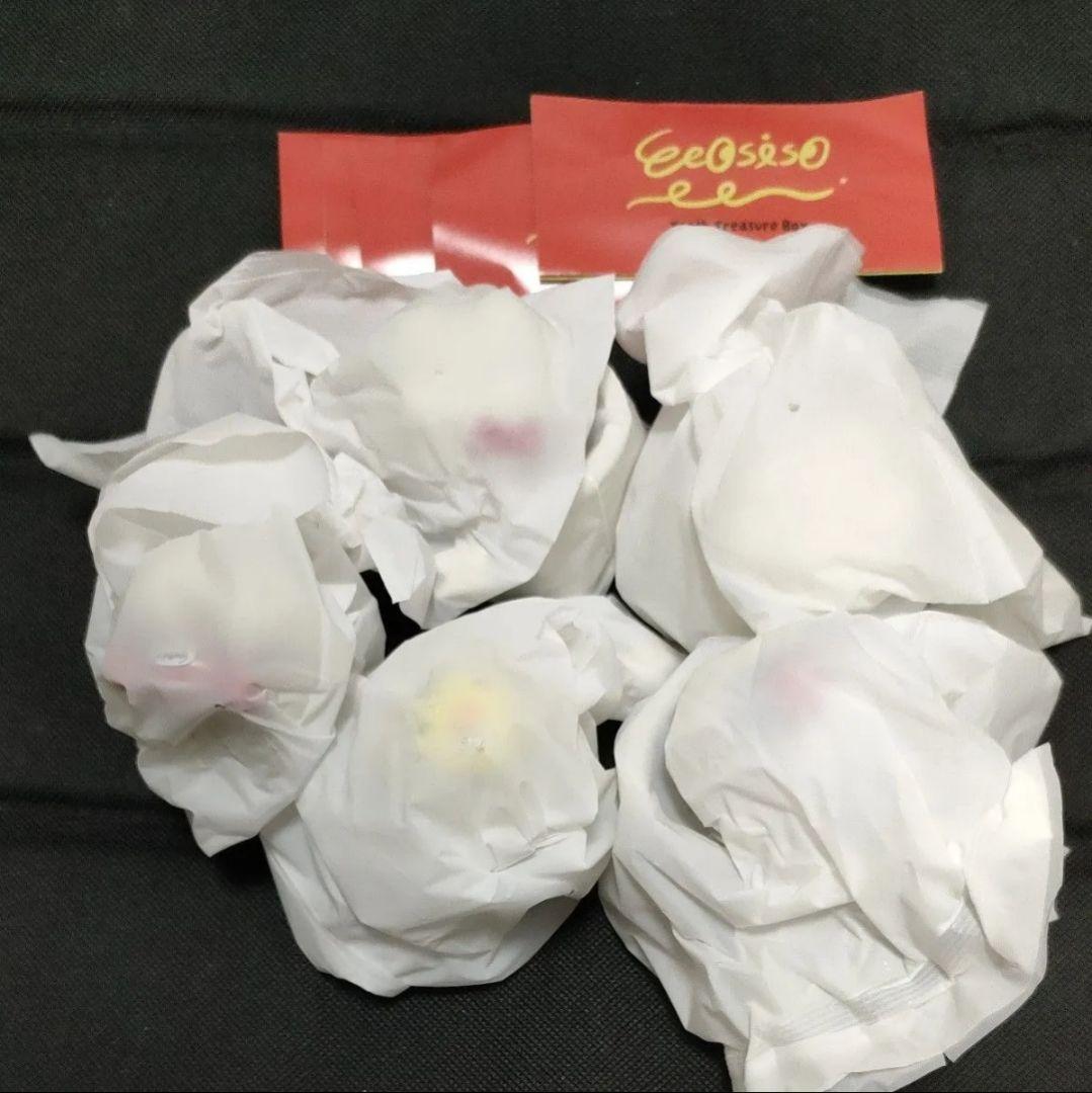 全５種コンプリート　新品　Eeosiso イオシソ　トゥース　トレジャーボックス — image 2