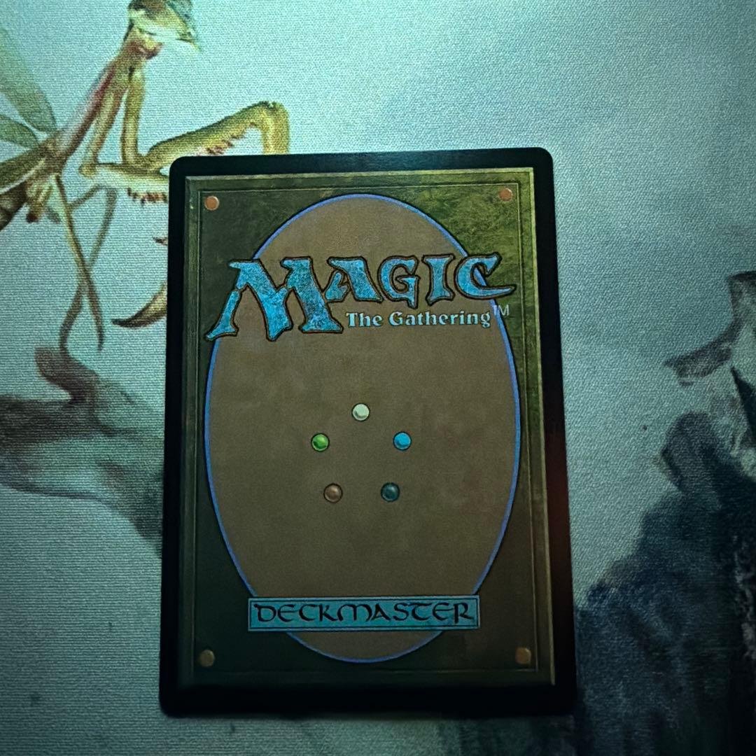MTG 絶対無敵スクイレル・ガール　英語版 — image 2