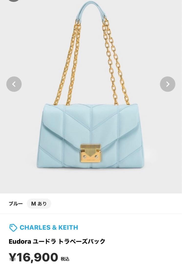 チャールズ＆キース バッグ — image 3