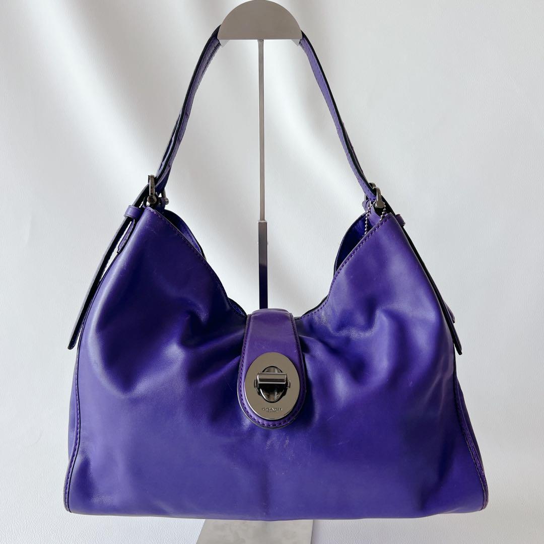 【入手困難】COACH コーチ MADISON CARLYLE マディソン — image 2
