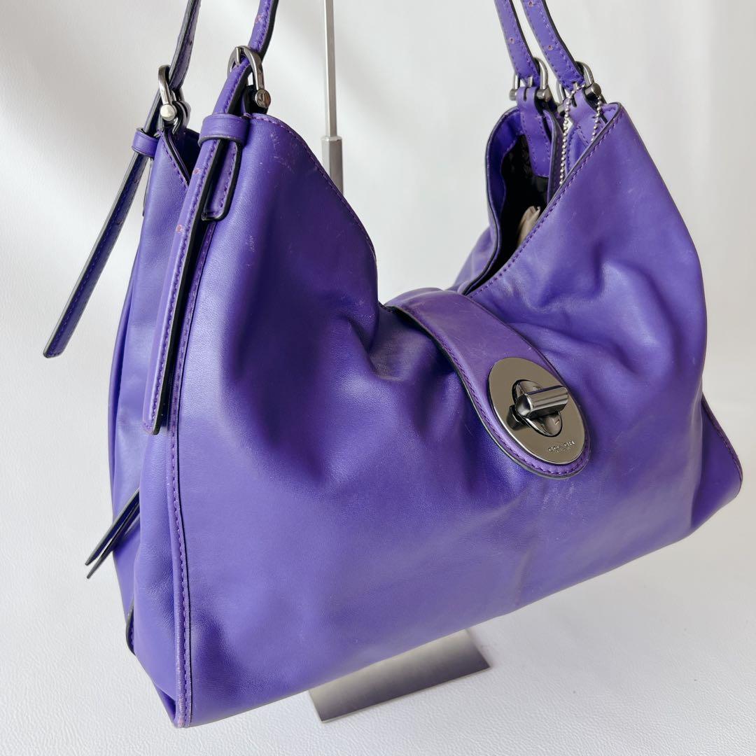 【入手困難】COACH コーチ MADISON CARLYLE マディソン — image 3