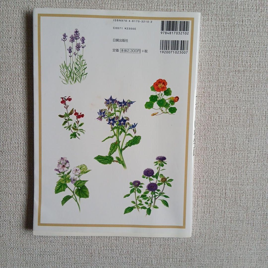 透明水彩で描く やさしい植物画 高橋京子 — image 2