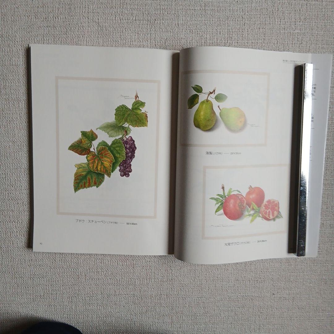 透明水彩で描く やさしい植物画 高橋京子 — image 3