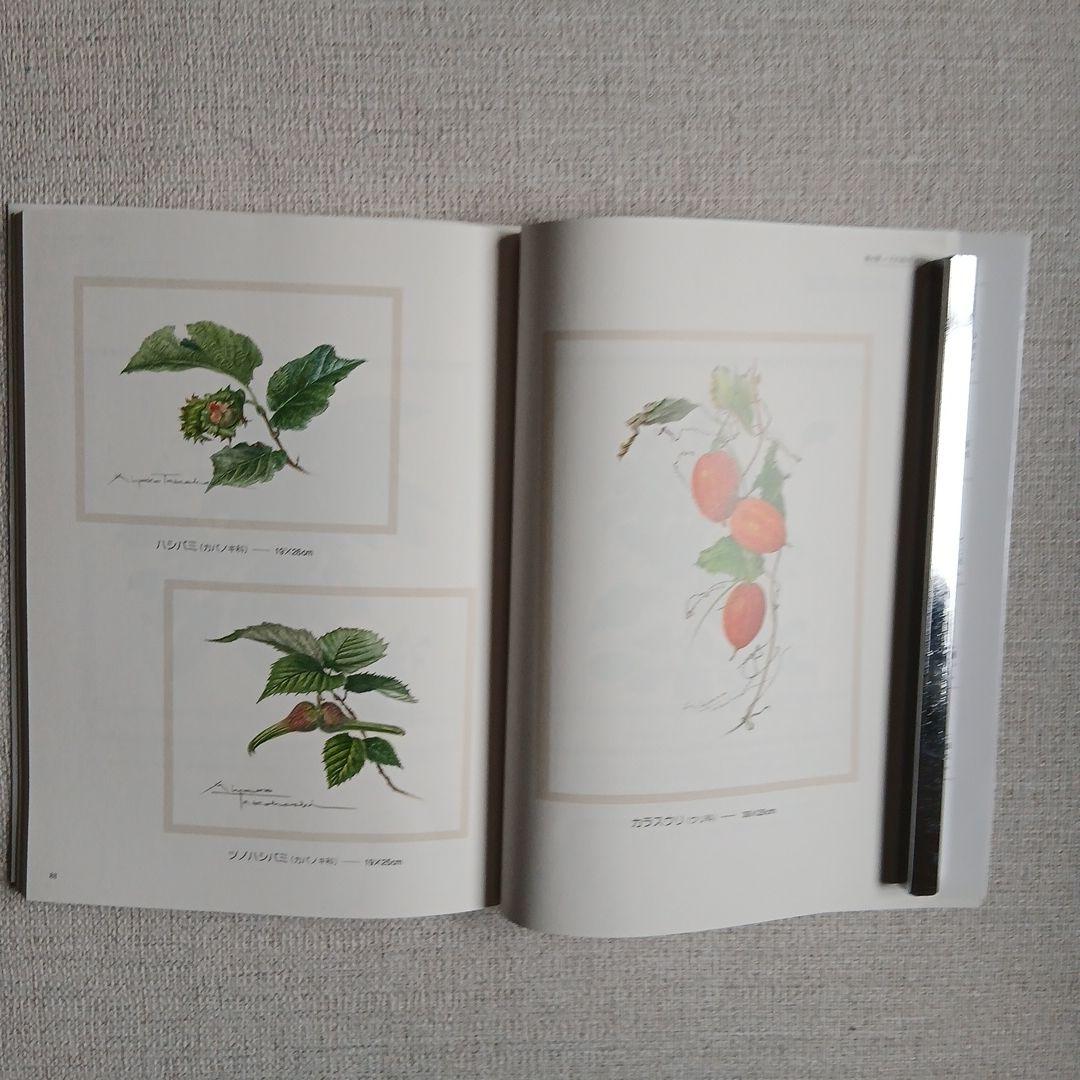 透明水彩で描く やさしい植物画 高橋京子 — image 5