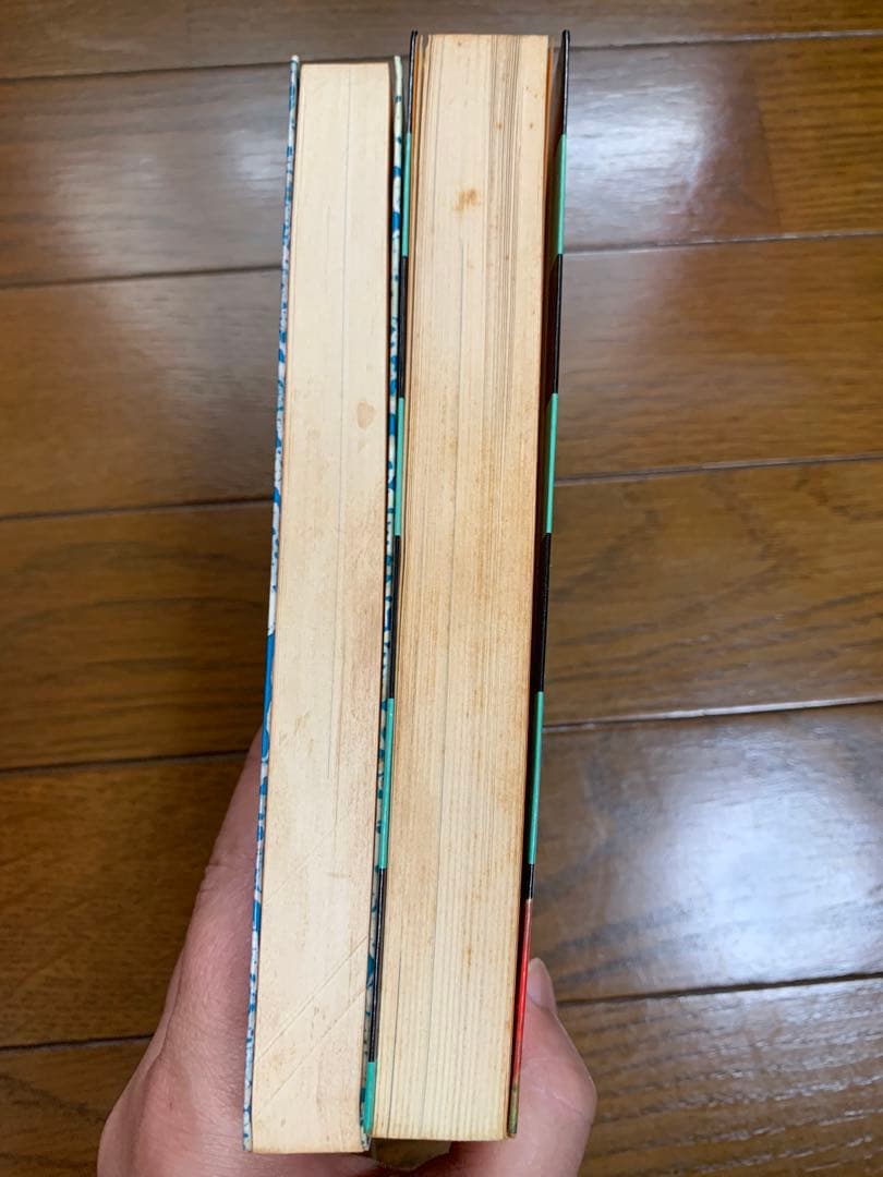 手塚治虫 アイエル 空気の底 大都社 ハードコミックス　2冊セット — image 4