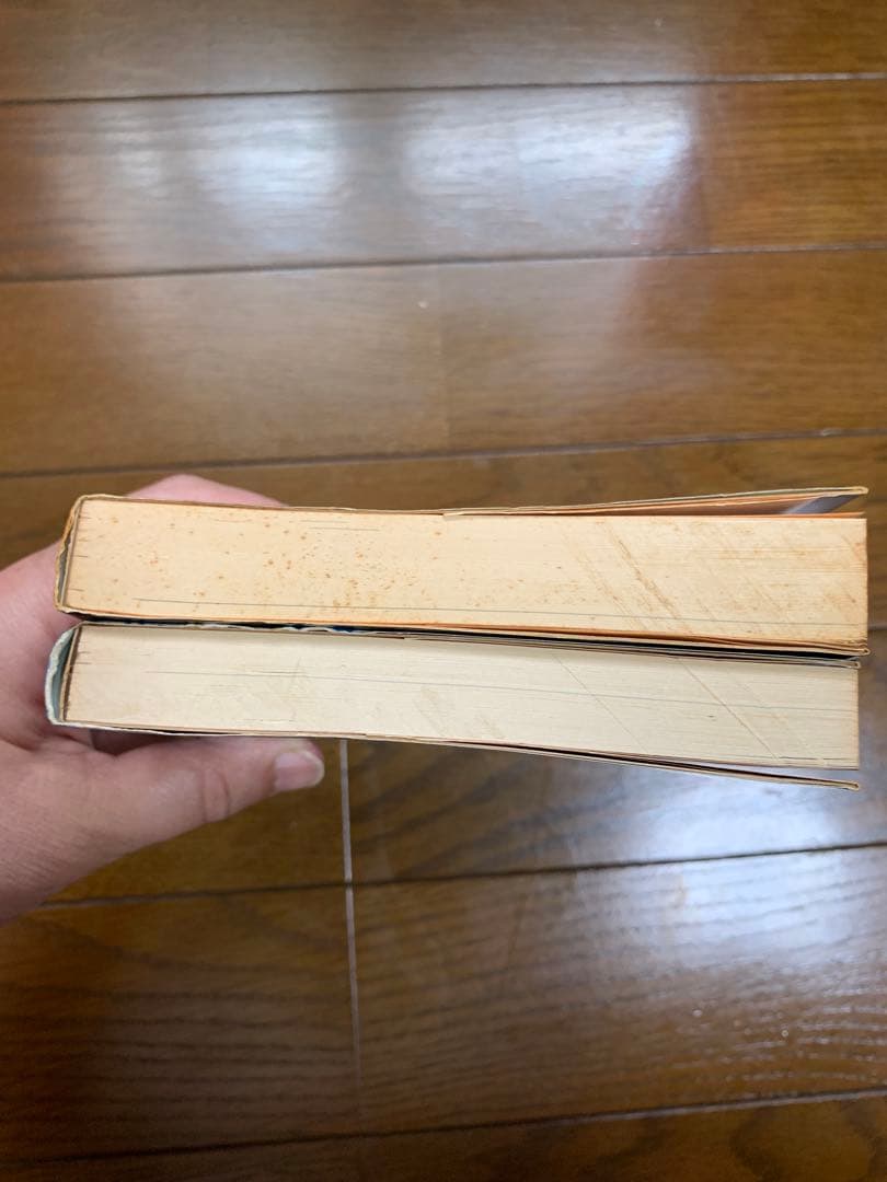 手塚治虫 アイエル 空気の底 大都社 ハードコミックス　2冊セット — image 5