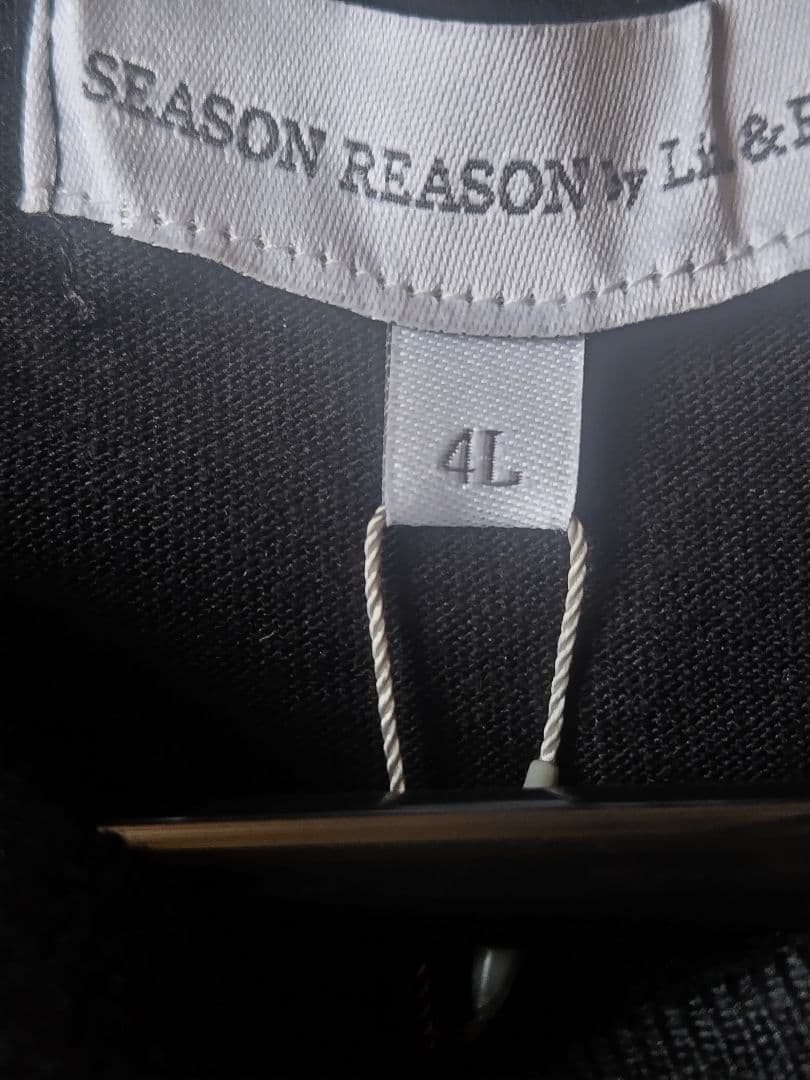SEASON REASON by Lin&Red Tシャツ 4L 黒 — image 3