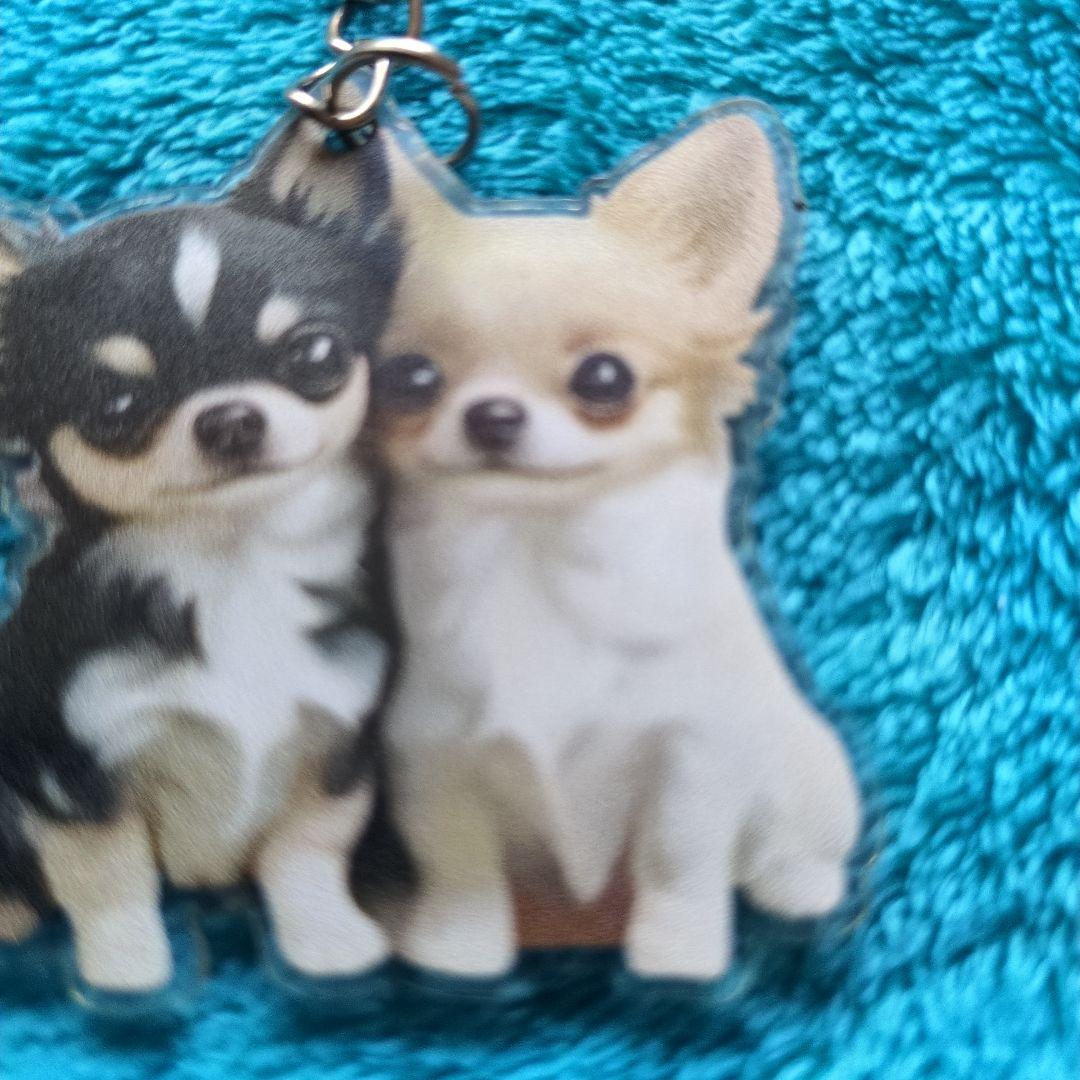 新品未使用で可愛いチワワ アクリルキーホルダーです — image 4