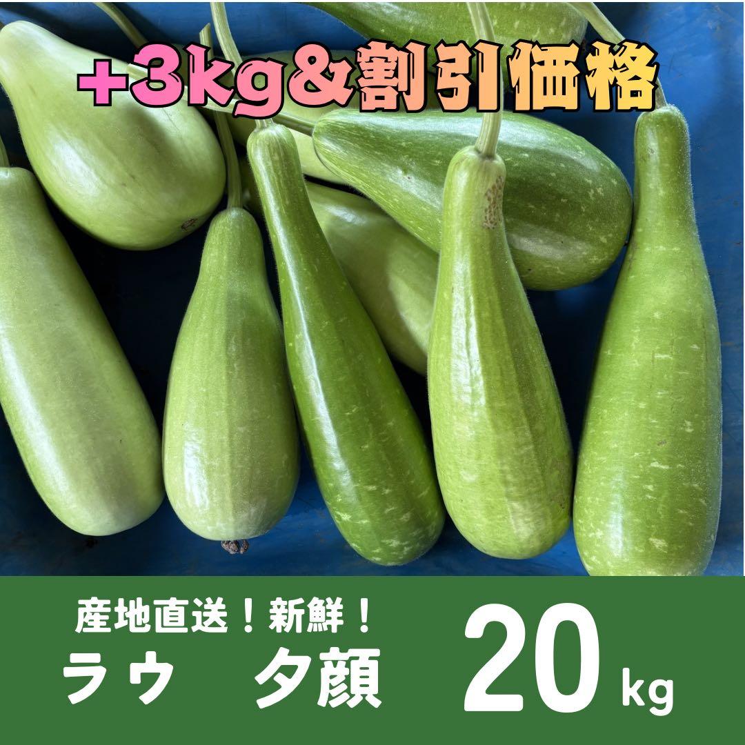 にゃん様　専用　ラウ23kg — image 2