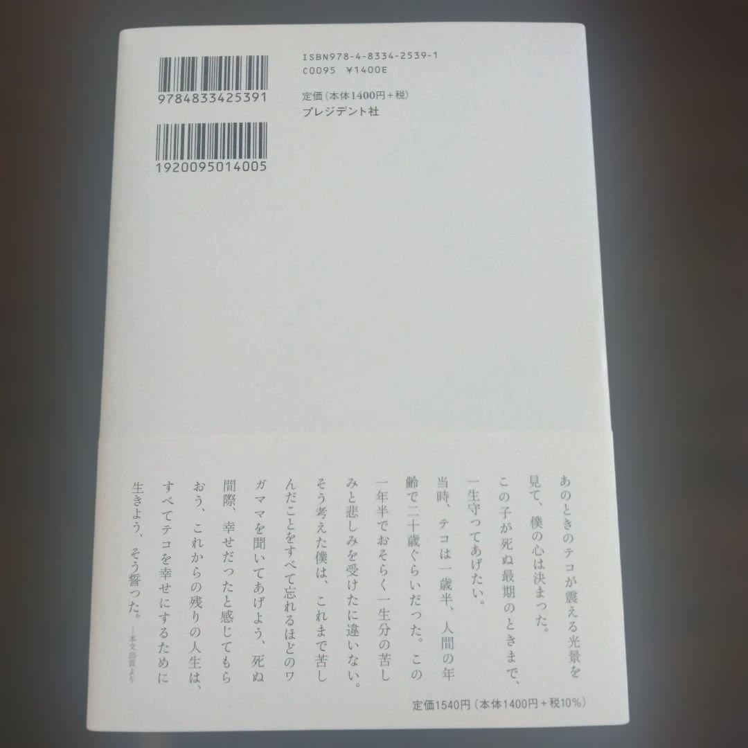 捨てられた僕と母猫と奇跡 : 心に傷を負った二人が新たに見つけた居場所 — image 2