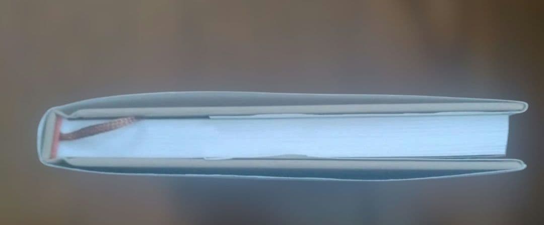 捨てられた僕と母猫と奇跡 : 心に傷を負った二人が新たに見つけた居場所 — image 3