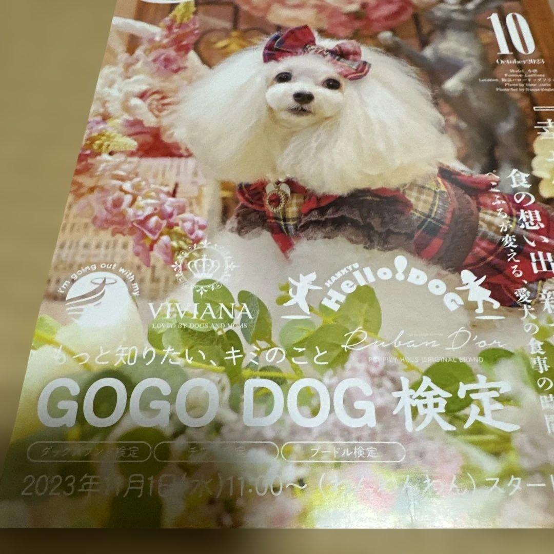 Cun 10月号 2023年 ドッグファッション雑誌 — image 2