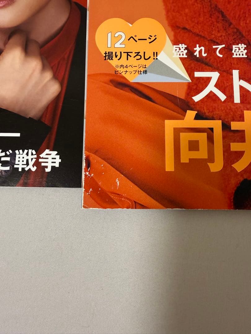 向井康二 阿部亮平 雑誌 まとめ売り — image 2