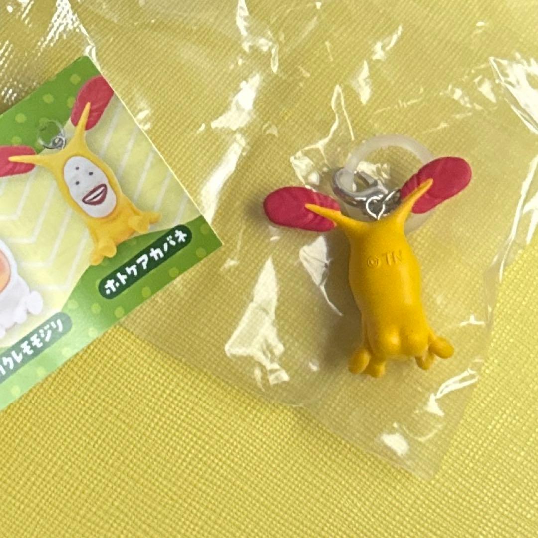 未開封　こびとづかん　めじるしチャーム　ホトケアカバネ — image 2