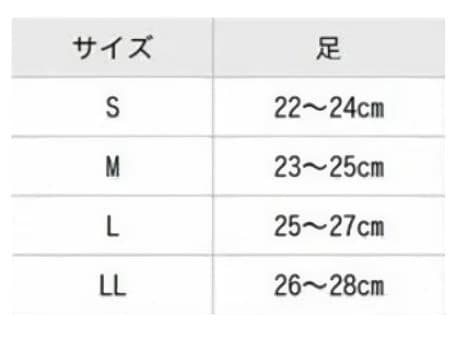 未開封BiBi/グラントイーワンズ/アティーボハイソックス/Lサイズ 正規品ry — image 4