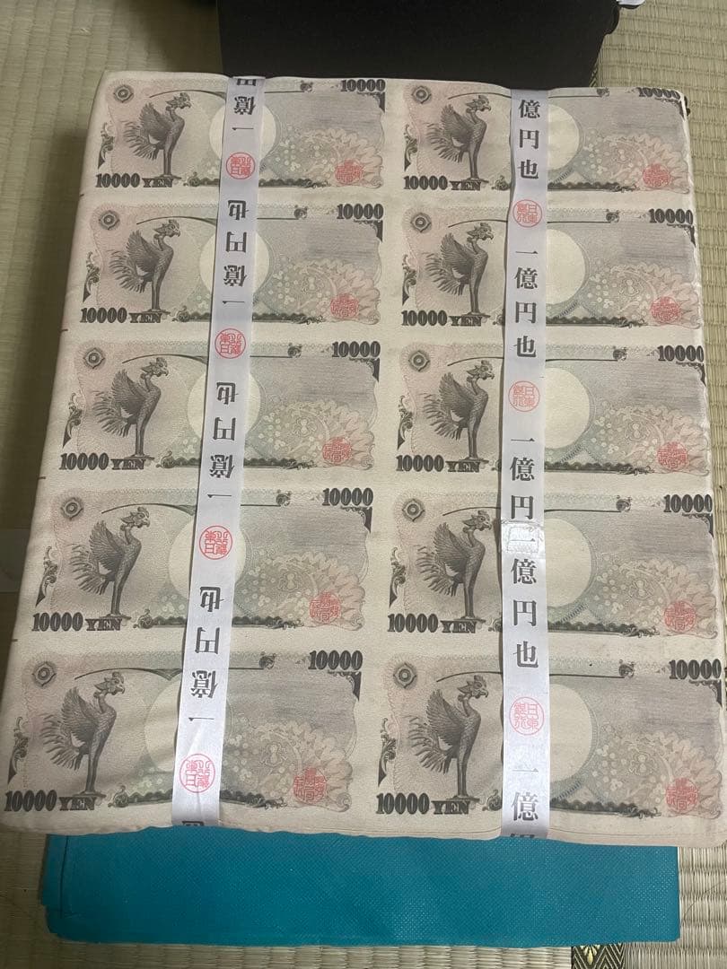 【超希少】一億円クッション　非売品　アミューズメント専用景品　激レア — image 2