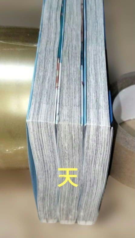アオのハコ 12巻13巻　(5巻おまけ) — image 3
