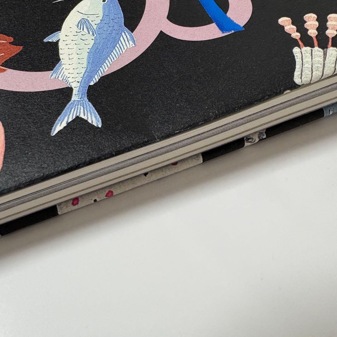 レア 限定❣️ LOEWE ISSUE アートマガジン アートブック ロエベ — image 5