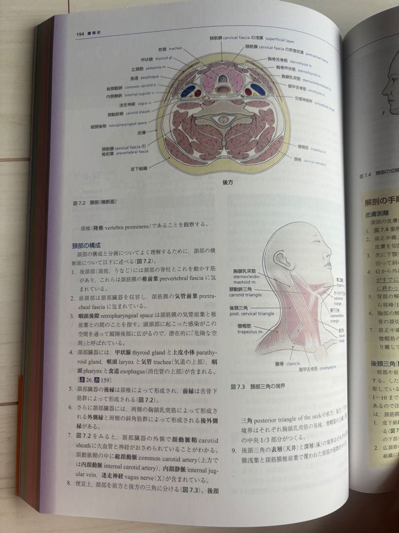 【新品未使用】グラント 解剖学実習 — image 3