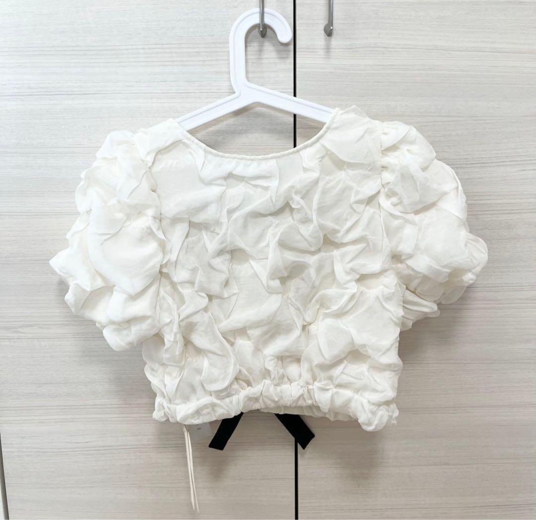 CLANE W FACE CLOUD PUFF SLEEVE TOP M — image 3