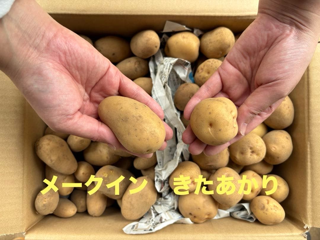 メークイン4kg きたあかり6kg Sサイズ — image 3
