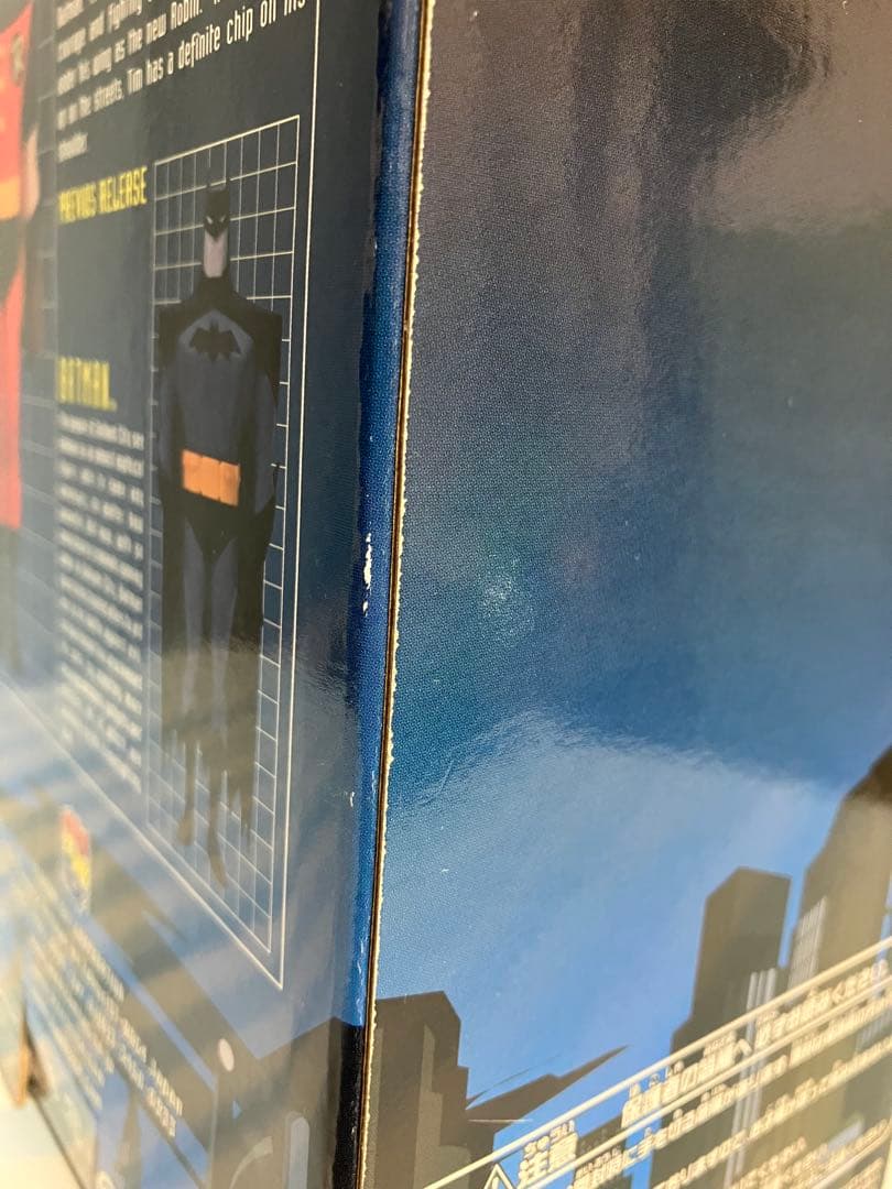 VCD ロビン メディコムトイ バットマン vinyl ヴァイナル — image 3