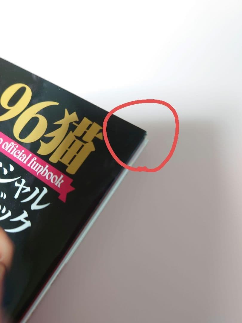特典DVD付き 96猫オフィシャルファンブック — image 3