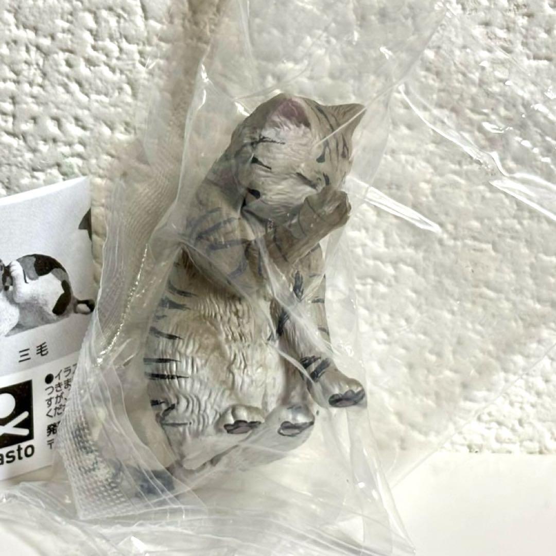 スタンドストーンズ　灰色メロン　カイカイ　猫　サバトラ — image 2