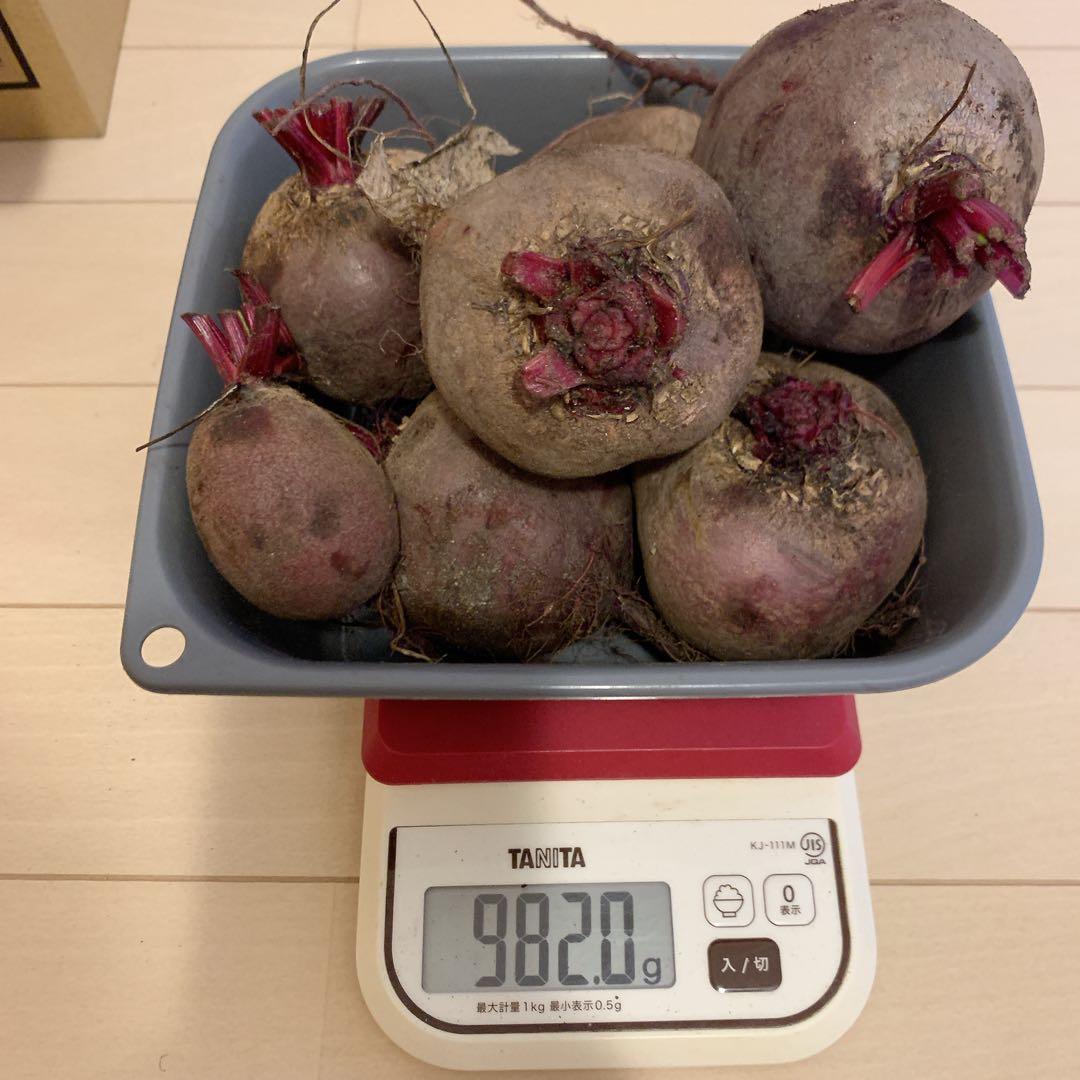 ビーツ デトロイトダークレッド2kg （箱含めず）農薬不使用 滋賀県産④ — image 2