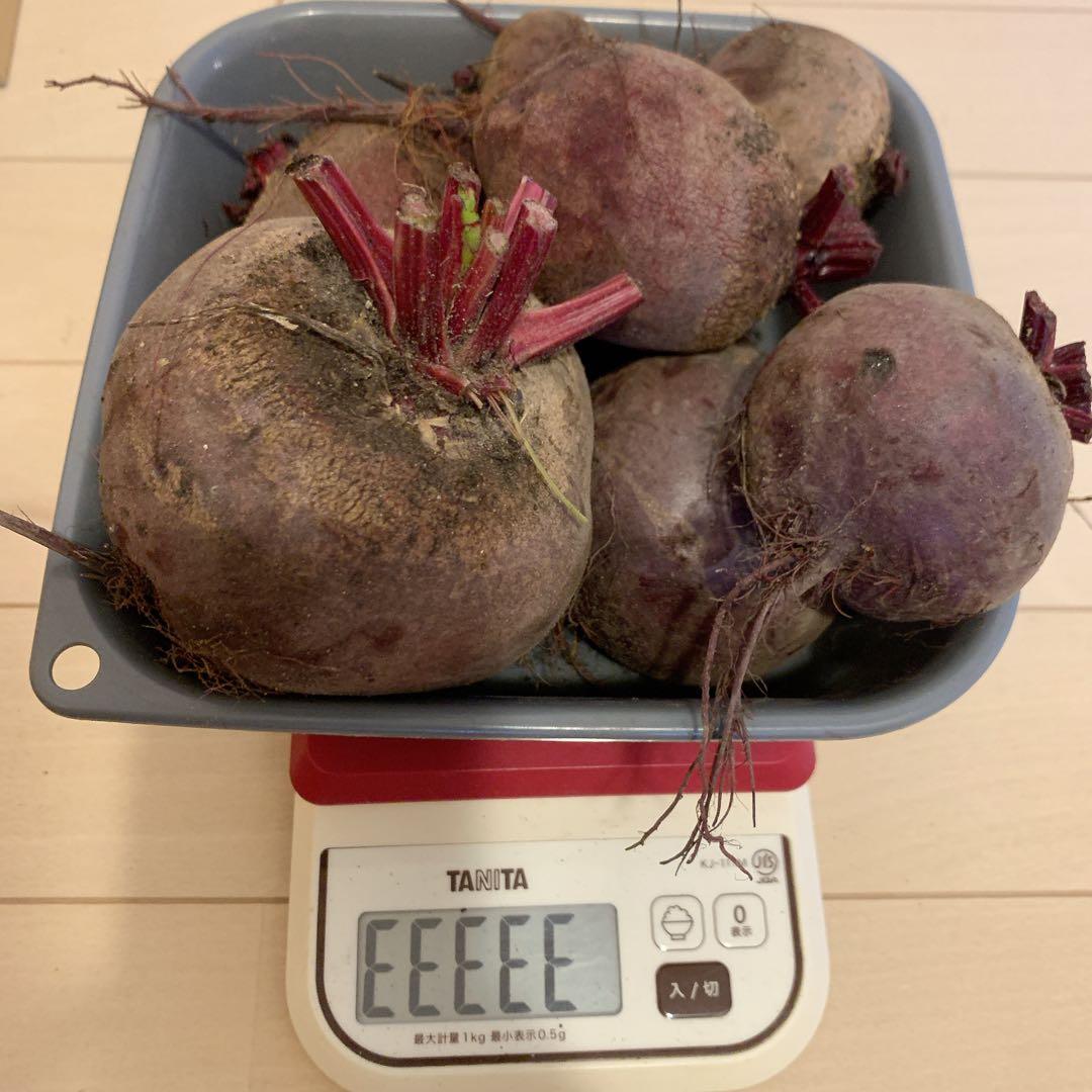 ビーツ デトロイトダークレッド2kg （箱含めず）農薬不使用 滋賀県産④ — image 3